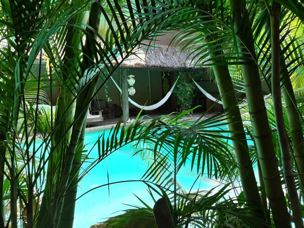 Villas Adriana, Palenque Extérieur photo